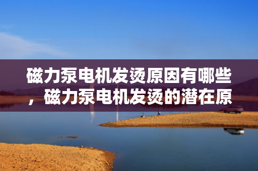 磁力泵电机发烫原因有哪些，磁力泵电机发烫的潜在原因分析