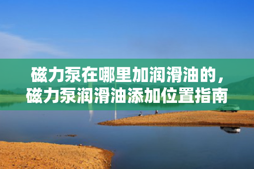 磁力泵在哪里加润滑油的，磁力泵润滑油添加位置指南
