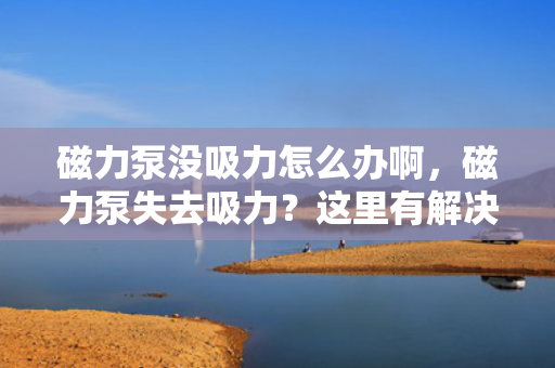 磁力泵没吸力怎么办啊，磁力泵失去吸力？这里有解决方案！