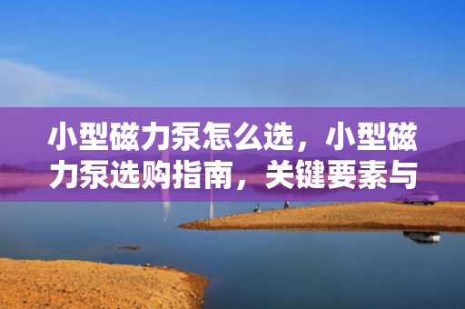 小型磁力泵怎么选，小型磁力泵选购指南，关键要素与步骤
