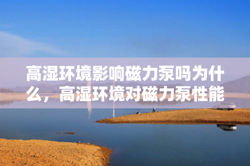 高湿环境影响磁力泵吗为什么，高湿环境对磁力泵性能的影响及原因解析