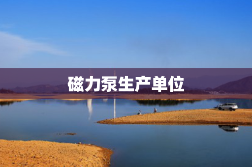 磁力泵生产单位