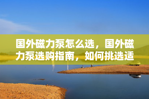 国外磁力泵怎么选，国外磁力泵选购指南，如何挑选适合的磁力泵
