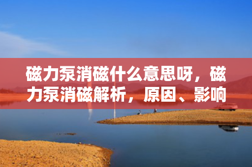 磁力泵消磁什么意思呀，磁力泵消磁解析，原因、影响及应对措施