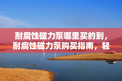 耐腐蚀磁力泵哪里买的到，耐腐蚀磁力泵购买指南，轻松找到可靠购买渠道