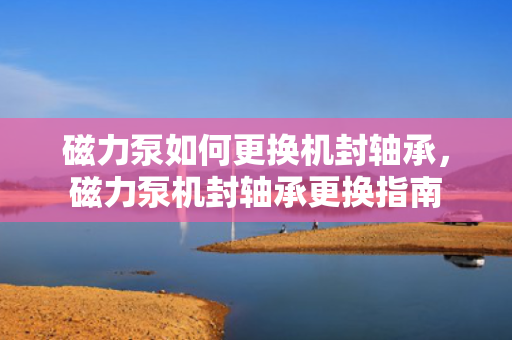 磁力泵如何更换机封轴承，磁力泵机封轴承更换指南