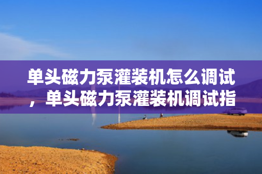 单头磁力泵灌装机怎么调试，单头磁力泵灌装机调试指南