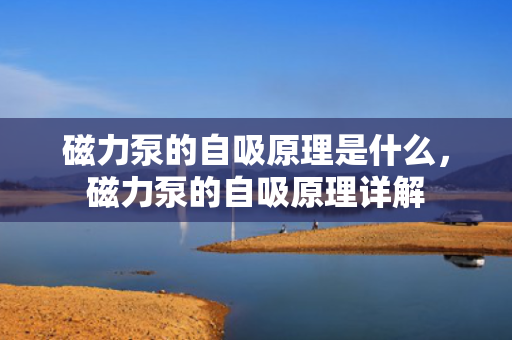 磁力泵的自吸原理是什么，磁力泵的自吸原理详解