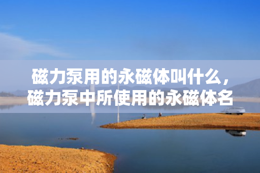 磁力泵用的永磁体叫什么，磁力泵中所使用的永磁体名称解析