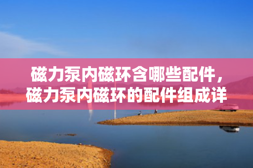 磁力泵内磁环含哪些配件，磁力泵内磁环的配件组成详解
