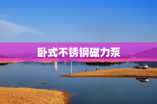 卧式不锈钢磁力泵