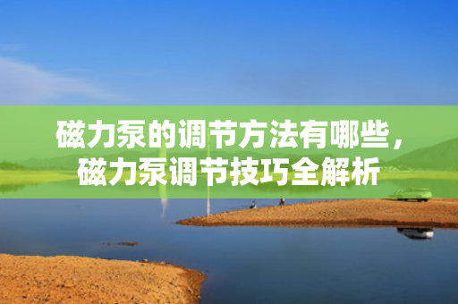 磁力泵的调节方法有哪些，磁力泵调节技巧全解析