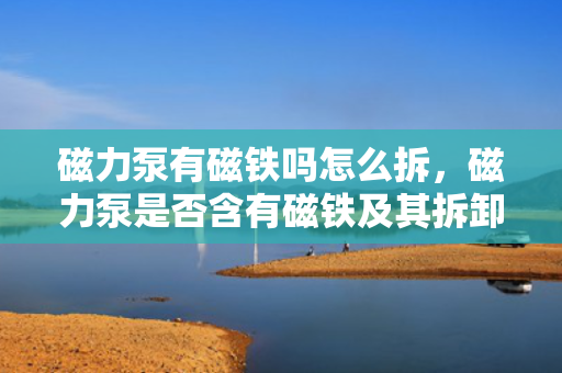 磁力泵有磁铁吗怎么拆，磁力泵是否含有磁铁及其拆卸方法解析