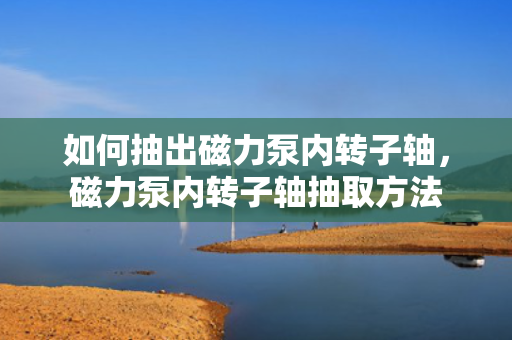 如何抽出磁力泵内转子轴，磁力泵内转子轴抽取方法