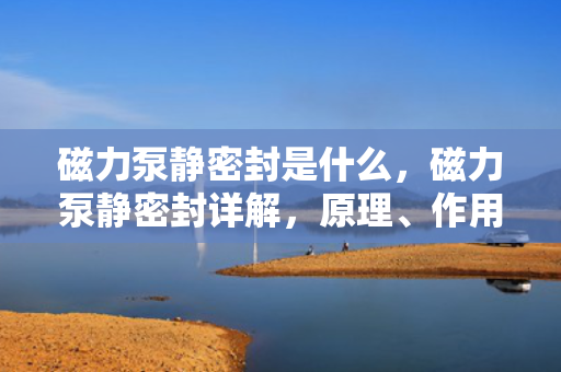 磁力泵静密封是什么，磁力泵静密封详解，原理、作用及应用领域