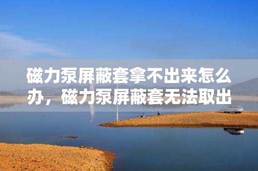 磁力泵屏蔽套拿不出来怎么办，磁力泵屏蔽套无法取出解决方案