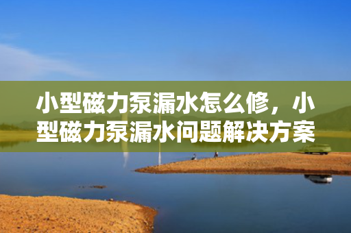 小型磁力泵漏水怎么修，小型磁力泵漏水问题解决方案