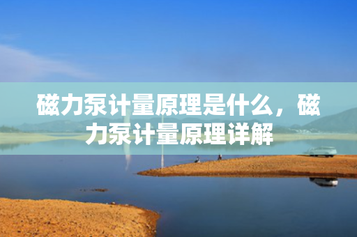 磁力泵计量原理是什么，磁力泵计量原理详解
