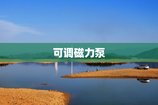 可调磁力泵