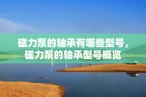 磁力泵的轴承有哪些型号，磁力泵的轴承型号概览