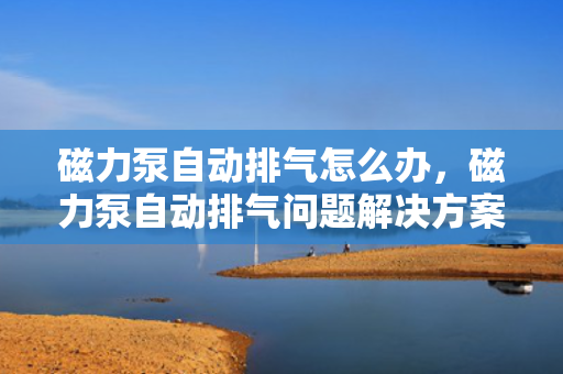 磁力泵自动排气怎么办，磁力泵自动排气问题解决方案