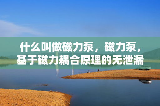 什么叫做磁力泵，磁力泵，基于磁力耦合原理的无泄漏离心泵