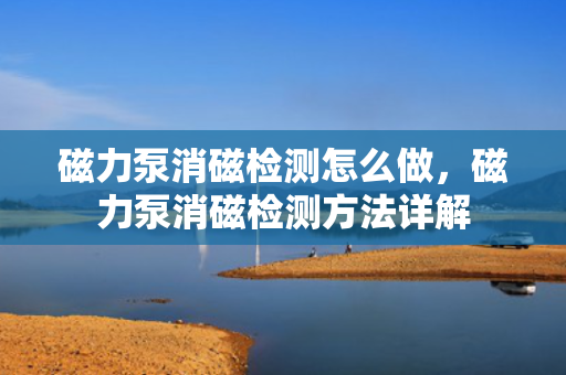 磁力泵消磁检测怎么做，磁力泵消磁检测方法详解