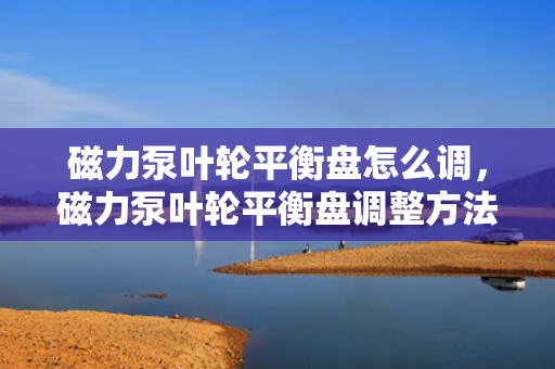 磁力泵叶轮平衡盘怎么调，磁力泵叶轮平衡盘调整方法