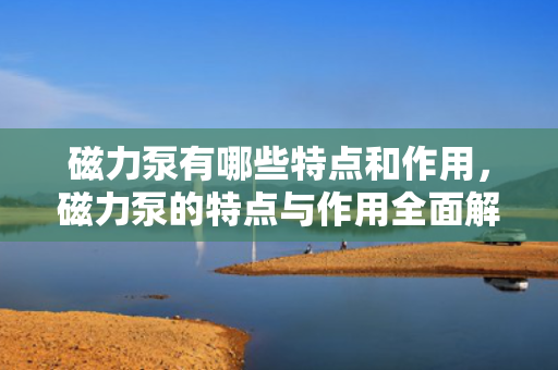 磁力泵有哪些特点和作用，磁力泵的特点与作用全面解析