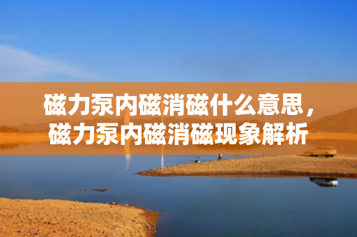 磁力泵内磁消磁什么意思，磁力泵内磁消磁现象解析