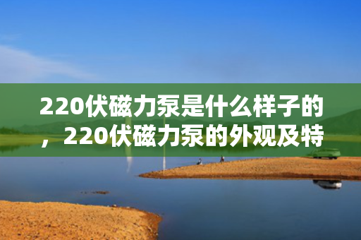 220伏磁力泵是什么样子的，220伏磁力泵的外观及特点解析