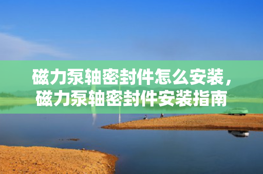 磁力泵轴密封件怎么安装，磁力泵轴密封件安装指南