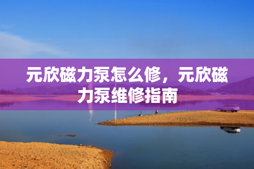 元欣磁力泵怎么修，元欣磁力泵维修指南