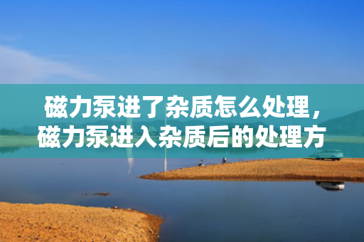 磁力泵进了杂质怎么处理，磁力泵进入杂质后的处理方法
