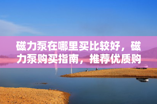 磁力泵在哪里买比较好，磁力泵购买指南，推荐优质购买渠道