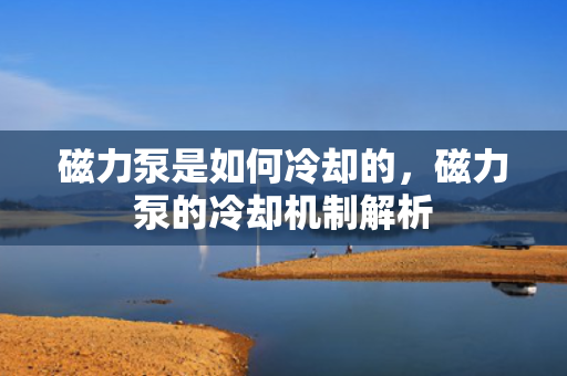 磁力泵是如何冷却的，磁力泵的冷却机制解析