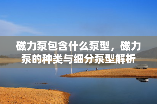 磁力泵包含什么泵型，磁力泵的种类与细分泵型解析