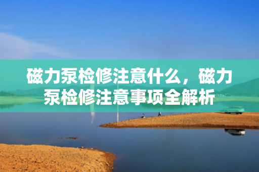 磁力泵检修注意什么，磁力泵检修注意事项全解析