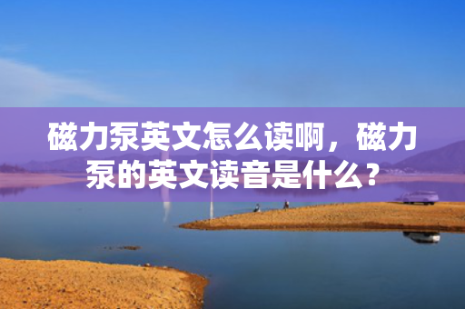 磁力泵英文怎么读啊，磁力泵的英文读音是什么？