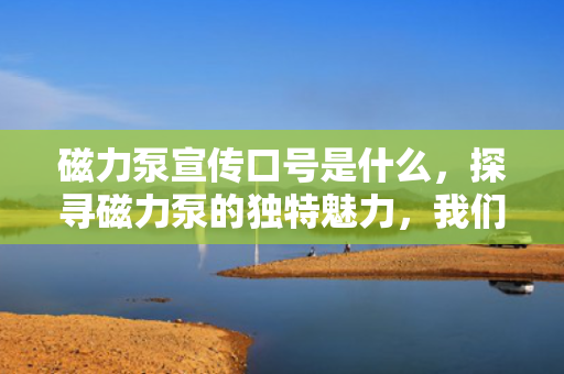 磁力泵宣传口号是什么，探寻磁力泵的独特魅力，我们的宣传口号揭晓！