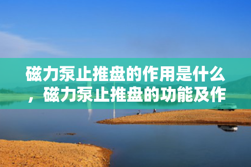 磁力泵止推盘的作用是什么，磁力泵止推盘的功能及作用解析