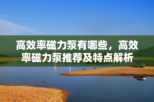 高效率磁力泵有哪些，高效率磁力泵推荐及特点解析