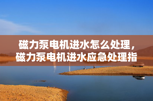 磁力泵电机进水怎么处理，磁力泵电机进水应急处理指南