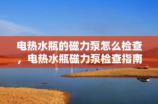 电热水瓶的磁力泵怎么检查，电热水瓶磁力泵检查指南
