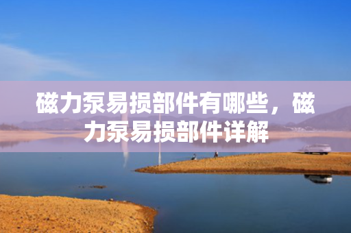 磁力泵易损部件有哪些，磁力泵易损部件详解