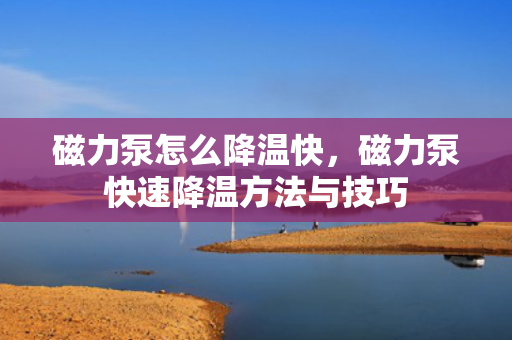 磁力泵怎么降温快，磁力泵快速降温方法与技巧