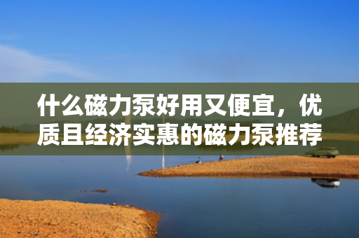 什么磁力泵好用又便宜，优质且经济实惠的磁力泵推荐