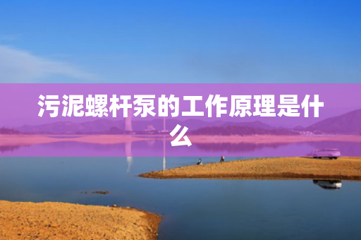 污泥螺杆泵的工作原理是什么