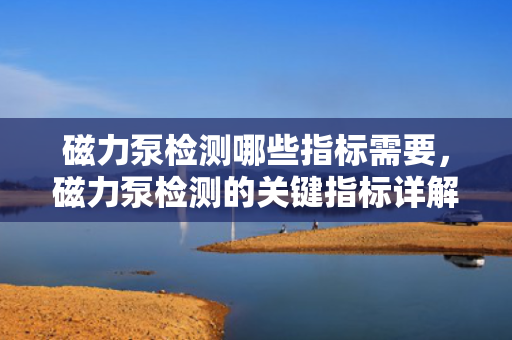 磁力泵检测哪些指标需要，磁力泵检测的关键指标详解