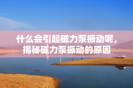 什么会引起磁力泵振动呢，揭秘磁力泵振动的原因